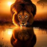 sig__3d887422-df0b-46f6-9848-a3b9c8fd42a5