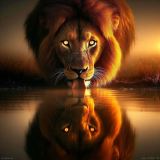 sig__9beee6f0-f49b-4f15-a8e5-ff5886a66d8b