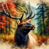 sig__65e9bf80-8349-4e92-a667-fa10dfefc130