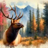 sig__cc7baed4-416c-4995-8942-98f758b394cc