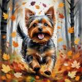 Yorkie Rampage